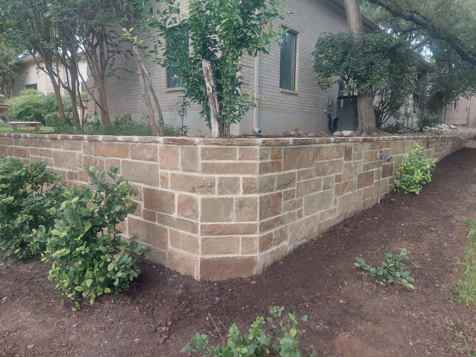 Stone veneer retaining wall wrapping a landscaped yard